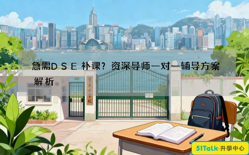 急需DSE补课？资深导师一对一辅导方案解析